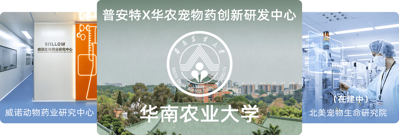 普安特科研团队与联合研发机构