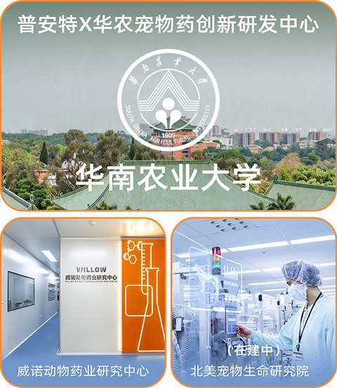 普安特科研实力