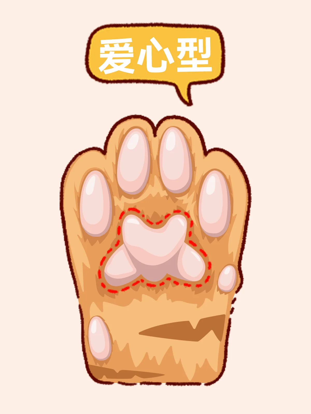 爱心型猫咪肉垫示意图
