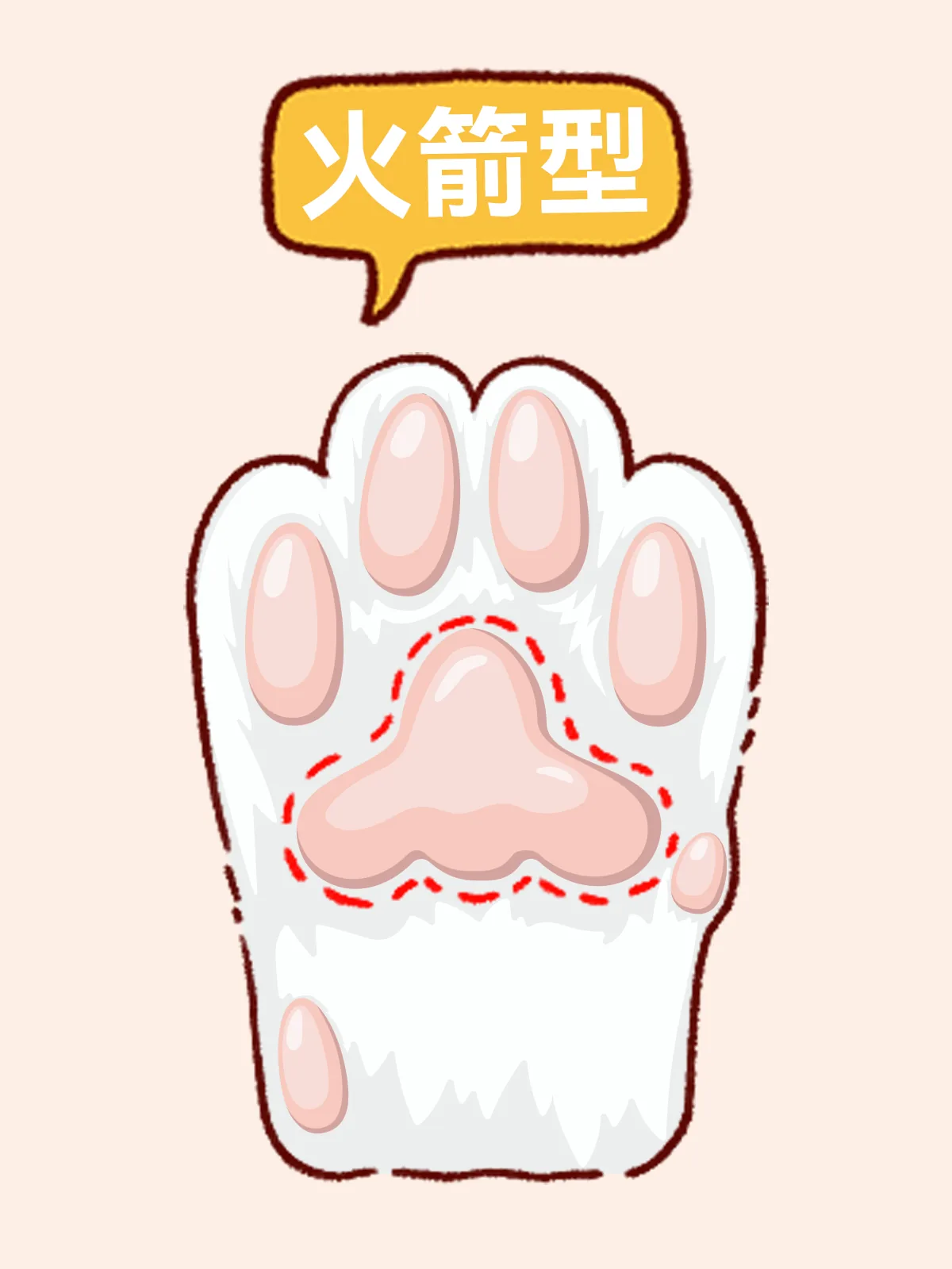 饭团型猫咪肉垫示意图