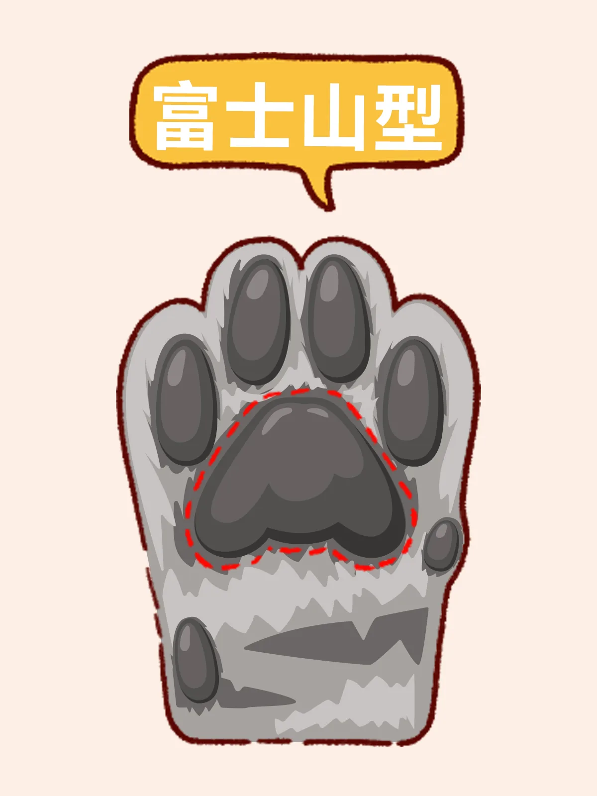三叶草型猫咪肉垫示意图
