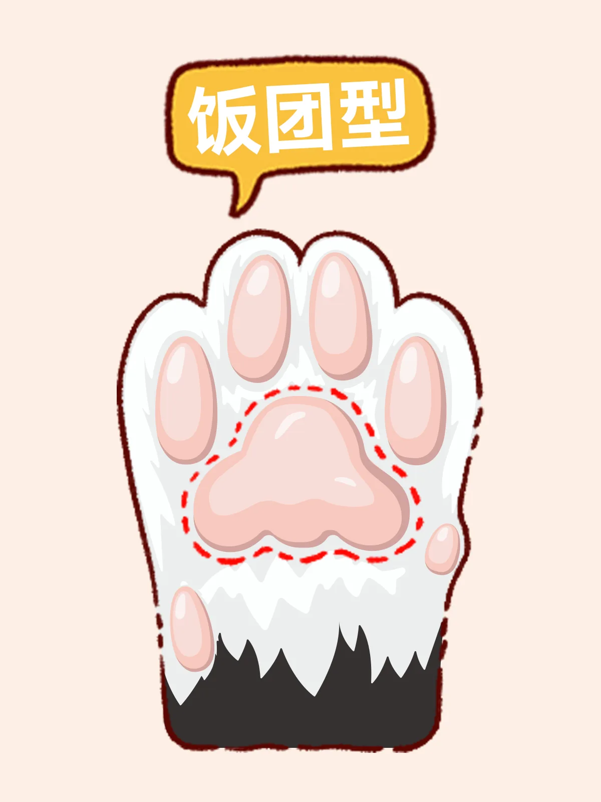 火箭型猫咪肉垫示意图