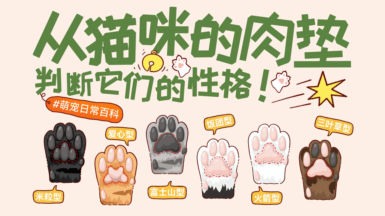 猫咪肉垫形状趣味性格解读封面图