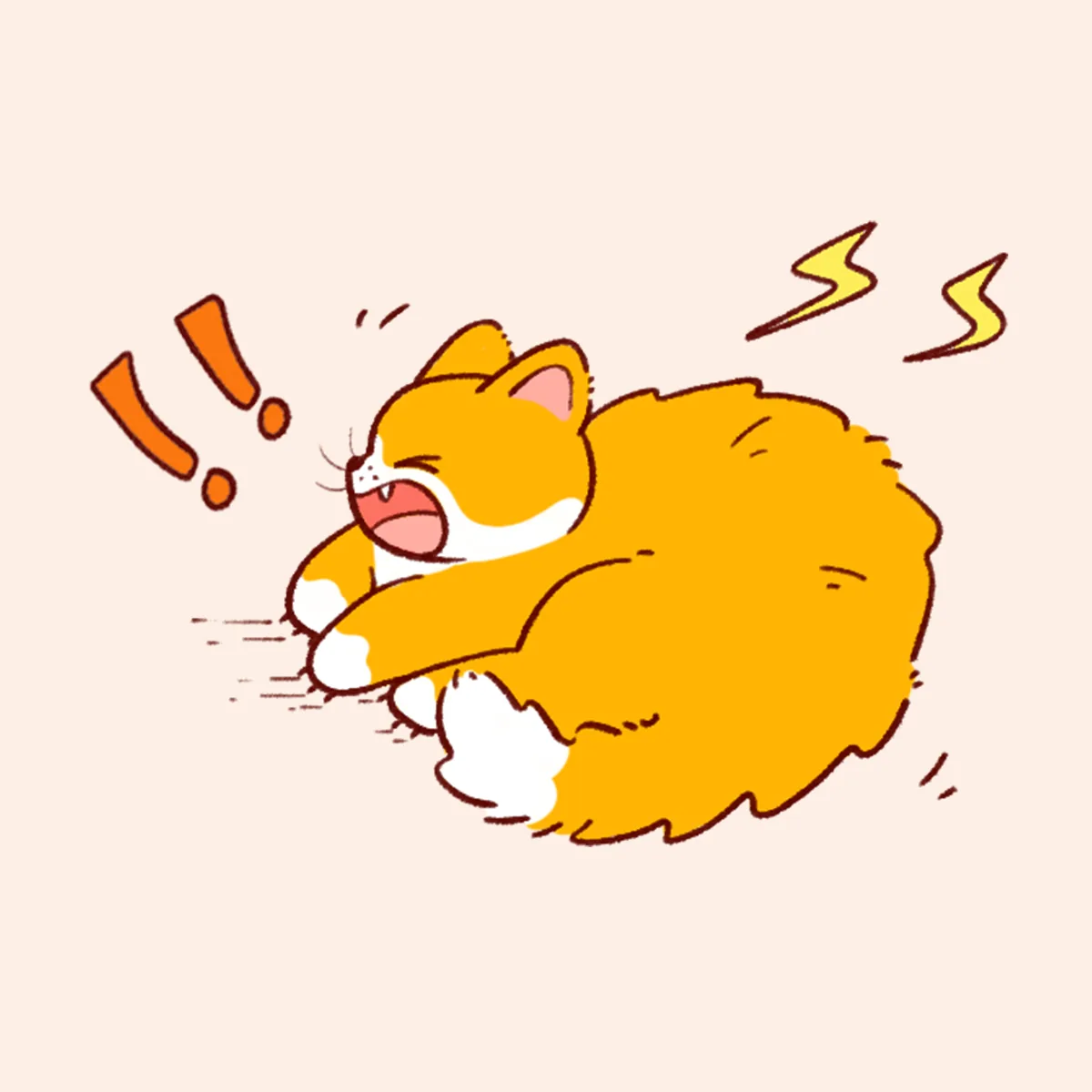 猫咪尾巴炸毛示意图