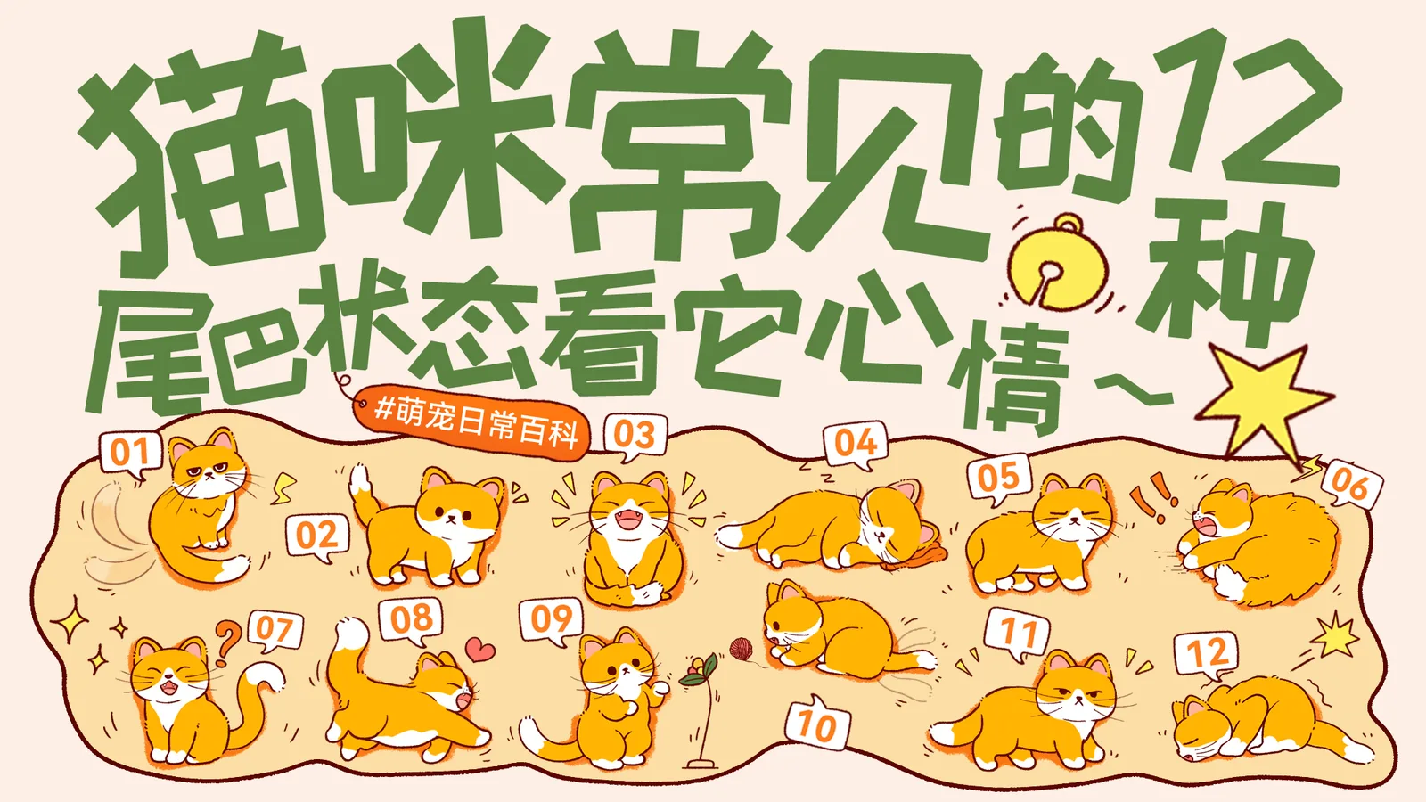 猫咪尾巴身体语言12种状态封面图