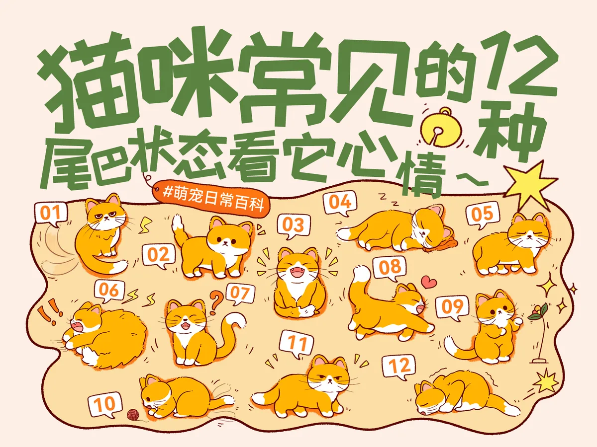 猫咪12种尾巴状态与情绪信号图解