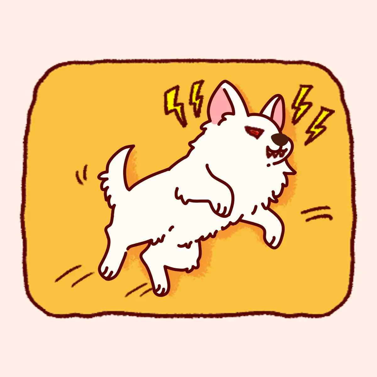 猫狗抓伤后狂犬病暴露判断示意图