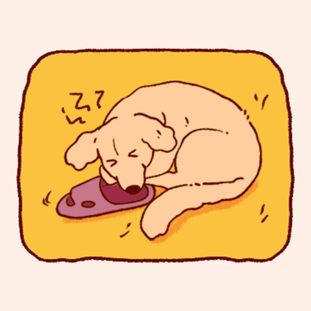 狂犬病风险与猫狗抓咬伤示意图