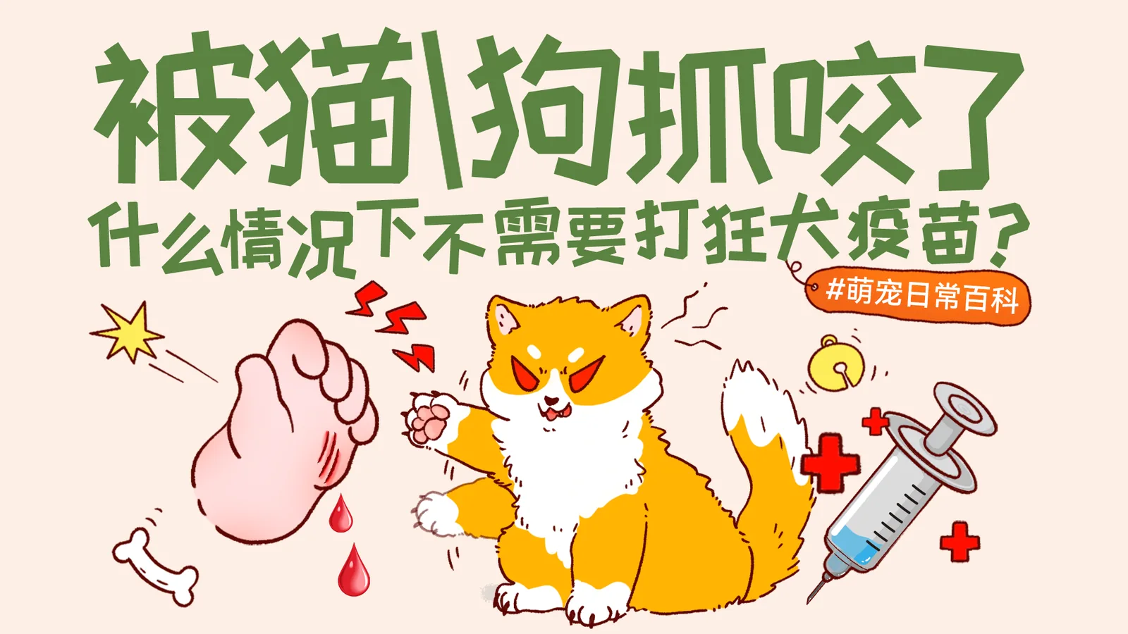 猫狗抓伤狂犬疫苗暴露分级与接种程序封面图